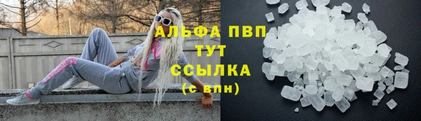 прущие грибы Елизово