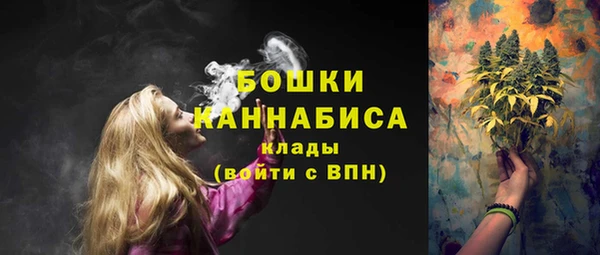 прущие грибы Елизово