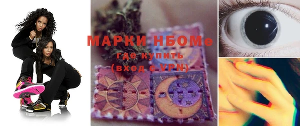 прущие грибы Елизово
