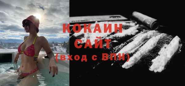 прущие грибы Елизово