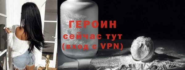 прущие грибы Елизово