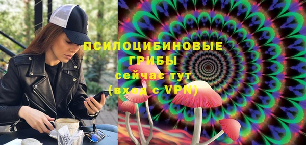 прущие грибы Елизово