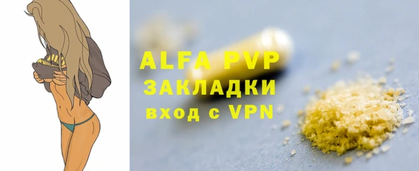прущие грибы Елизово