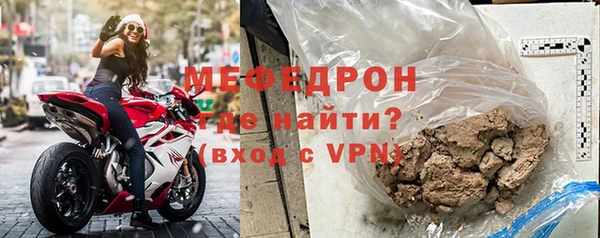 прущие грибы Елизово