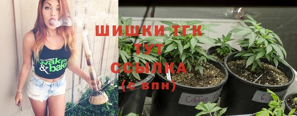 прущие грибы Елизово