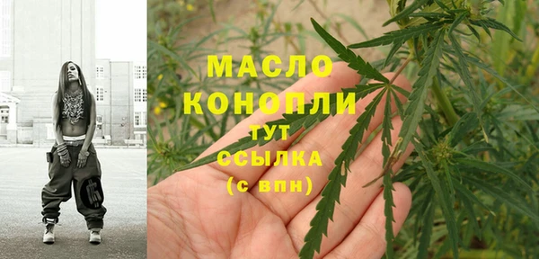 прущие грибы Елизово