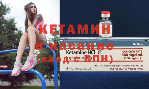 прущие грибы Елизово