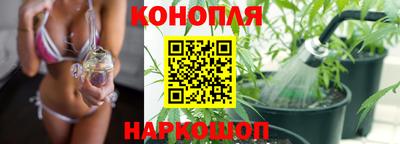 кокс Аргун