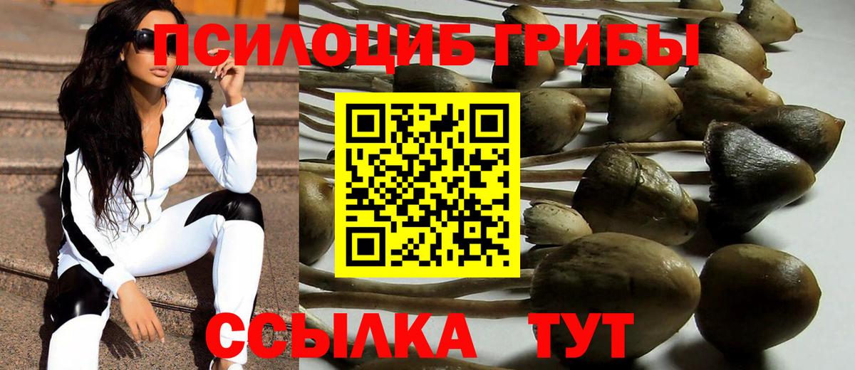 Галлюциногенные грибы Psilocybine cubensis Белореченск
