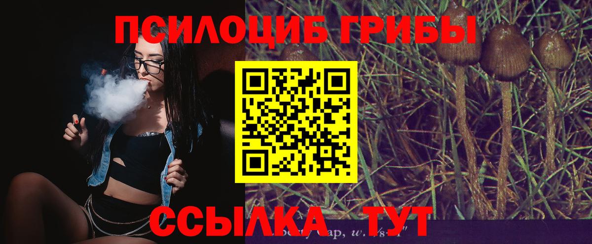 Белореченск  Псилоцибиновые грибы ЛСД  как найти закладки  Псилоцибиновые грибы GOLDEN TEACHER  Вход с VPN 